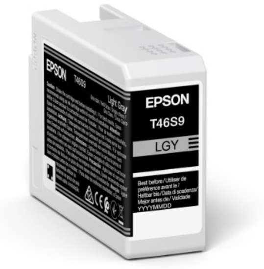 Picture of Epson UltraChrome Pro ink cartridge 1 pc(s) Original Light grey
