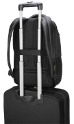 Picture of Targus Citygear 43.9 cm (17.3") Backpack Black