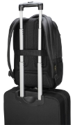 Picture of Targus CityGear backpack Casual backpack Black