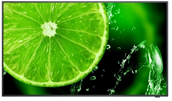 Picture of NEC MultiSync E498 124.5 cm (49") IPS 350 cd/m² 4K Ultra HD Black 16/7