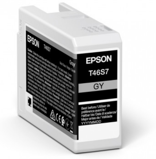 Picture of Epson UltraChrome Pro ink cartridge 1 pc(s) Original Grey