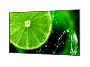 Picture of NEC E series MultiSync E558 Digital signage flat panel 138.7 cm (54.6") LCD 350 cd/m² 4K Ultra HD Black 16/7