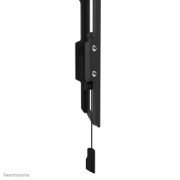 Picture of Neomounts WL30-550BL14 TV mount wall 32-75" - ultra-flat - easy install