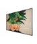 Picture of Philips 55BDL4511D/00 Signage Display Digital A-board 139.7 cm (55") 500 cd/m² 4K Ultra HD Black 24/7
