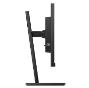 Picture of Philips S Line 243S1/00 computer monitor 60.5 cm (23.8") 1920 x 1080 pixels Full HD LCD Black