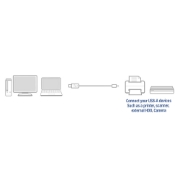 Picture of ACT USB 2.0 connection cable A male - B male 3 meters