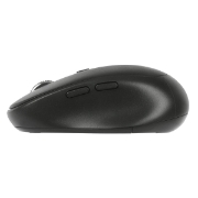 Picture of Targus AMB582GL mouse Right-hand RF Wireless + Bluetooth Optical 2400 DPI