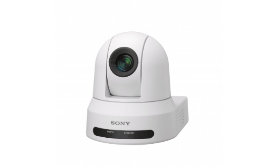Picture of Sony SRG-X40UH Dome IP security camera Indoor 3840 x 2160 pixels Ceiling/wall
