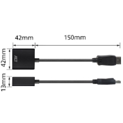 Picture of ACT DisplayPort to VGA adapter