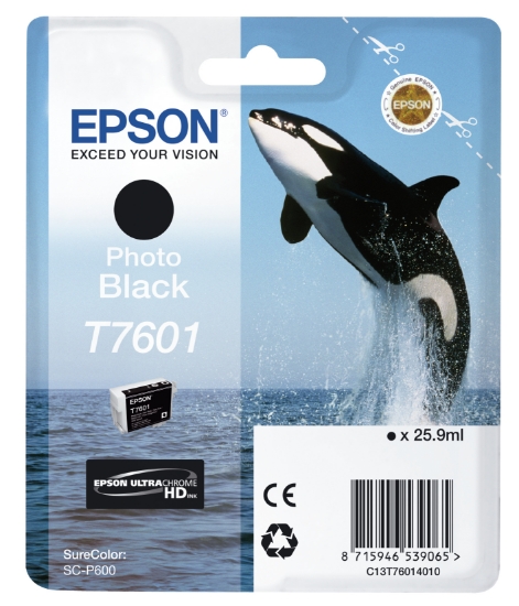 Picture of Epson T7601 Photo Black