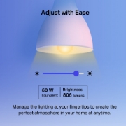 Picture of TP-Link Tapo Smart Wi-Fi Light Bulb, Multicolor