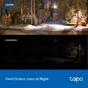 Picture of TP-Link Tapo Outdoor Security Wi-Fi Camera