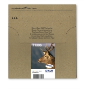 Picture of Epson Stag Multipack 3-colours T1306 DURABrite Ultra Ink EasyMail