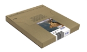 Picture of Epson Stag Multipack 3-colours T1306 DURABrite Ultra Ink EasyMail