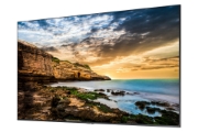 Picture of Samsung 65" Crystal UHD 4K Signage QE65T