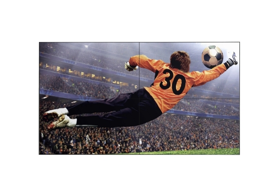 Picture of LG 49VL5G-M video wall display Indoor