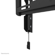 Picture of Neomounts WL30-550BL12 TV mount wall 24-65" - ultra-flat - easy install