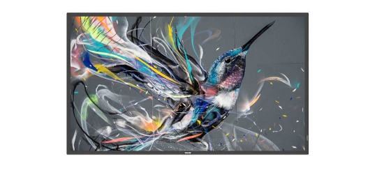 Picture of Philips 50BDL3511Q/00 Signage Display Digital A-board 127 cm (50") 500 cd/m² 4K Ultra HD Black 18/7