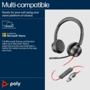 Picture of POLY Blackwire 8225 Stereo Microsoft Teams Certified USB-C Headset +USB-C/A Adapter