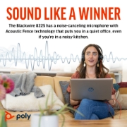Picture of POLY Blackwire 8225 Stereo Microsoft Teams Certified USB-C Headset +USB-C/A Adapter