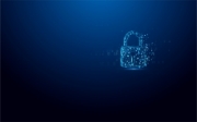 Picture of Kingston Technology IronKey 128GB Vault Privacy 50 AES-256 Encrypted, FIPS 197