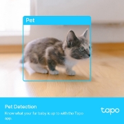 Picture of TP-Link Tapo Pan/Tilt AI Home Security Wi-Fi Camera