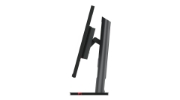 Picture of Lenovo ThinkVision P32p-30 LED display 80 cm (31.5") 3840 x 2160 pixels 4K Ultra HD Black