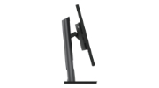 Picture of Lenovo ThinkVision P32p-30 LED display 80 cm (31.5") 3840 x 2160 pixels 4K Ultra HD Black