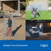 Picture of TP-Link Tapo Outdoor Pan/Tilt Security Wi-Fi Camera