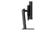 Picture of Lenovo ThinkVision P49w-30 LED display 124.5 cm (49") 5120 x 1440 pixels DQHD Black