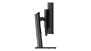 Picture of Lenovo ThinkVision P49w-30 LED display 124.5 cm (49") 5120 x 1440 pixels DQHD Black
