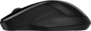 Picture of HP 250 Dual Mouse