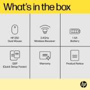 Picture of HP 250 Dual Mouse