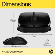 Picture of HP 250 Dual Mouse