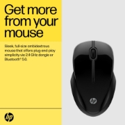 Picture of HP 250 Dual Mouse