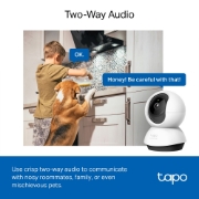 Picture of TP-Link Tapo Pan/Tilt AI Home Security Wi-Fi Camera