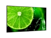 Picture of NEC MultiSync E988 Digital signage flat panel 2.48 m (97.5") LCD 350 cd/m² 4K Ultra HD Black 24/7