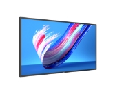 Picture of Philips 43BDL3650Q Digital signage flat panel 109.2 cm (43") LCD Wi-Fi 400 cd/m² Full HD Black Built-in processor Android 10 18/7