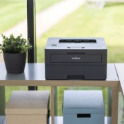 Picture of Brother HL-L2445DW wireless laser printer