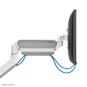 Picture of Neomounts DS70PLUS-450WH1 Monitor arm 17-49" - gas spring - Topfix - 180°-stop