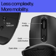 Picture of HP 695 Rechargeable Wireless Mouse