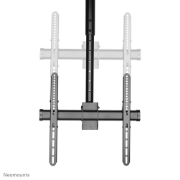 Picture of Neomounts NM-C440BLACK Monitor/TV mount ceiling 32-60" - h 56-91 cm