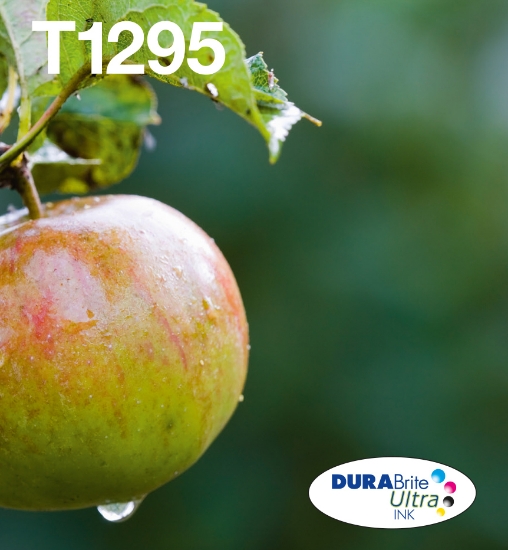 Picture of Epson Apple Multipack 4-colours T129 EasyMail