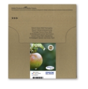 Picture of Epson Apple Multipack 4-colours T129 EasyMail