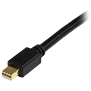 Picture of StarTech.com 6ft (1.8m) Mini DisplayPort to DVI Cable - Mini DP to DVI Adapter Cable - 1080p Video - Passive mDP 1.2 to DVI-D Single Link - mDP or Thunderbolt 1/2 Mac/PC to DVI Monitor