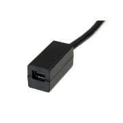 Picture of StarTech.com 6in (15cm) DisplayPort to Mini DisplayPort Cable - 4K x 2K UHD Video - DisplayPort Male to Mini DisplayPort Female Adapter Cable - DP Computer to mDP 1.2 Monitor Extension Cable