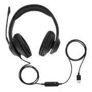 Picture of Targus AEH102GL headphones/headset Wired Head-band Calls/Music USB Type-A Black