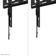 Picture of Neomounts WL30-750BL14 Heavy duty wall mount 32-75" - fixed - lockable - fast installation - TÜV