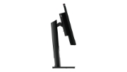 Picture of Lenovo ThinkCentre Tiny-In-One 24 LED display 60.5 cm (23.8") 1920 x 1080 pixels Full HD Touchscreen Black