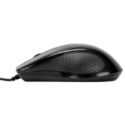 Picture of Targus AKM622FR keyboard Mouse included Universal USB AZERTY French Black